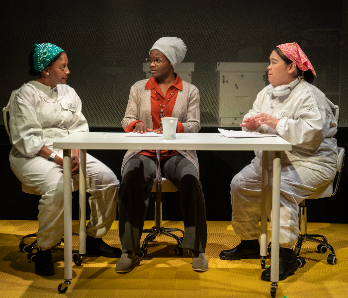 April Matthis, Nimene Wureh and Carmen M. Herlihy in The Apiary at Second Stage Theater. Photo by Joan Marcus. 