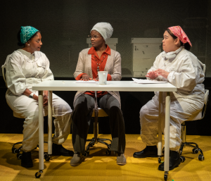 April Matthis, Nimene Wureh and Carmen M. Herlihy in The Apiary at Second Stage Theater. Photo by Joan Marcus.