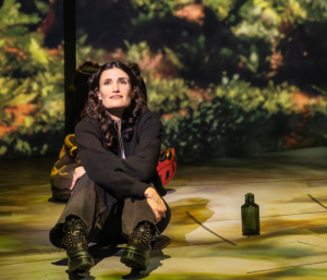 Idina Menzel in Redwood on Broadway. Photo by Matthew Murphy and Evan Zimmerman for Murphy Made.