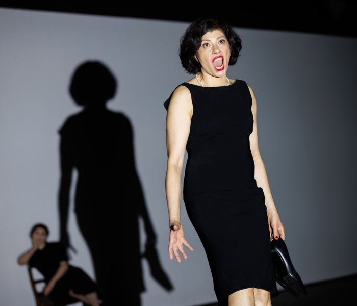 5 Companies You Need to Know: Indie Opera in NYC
